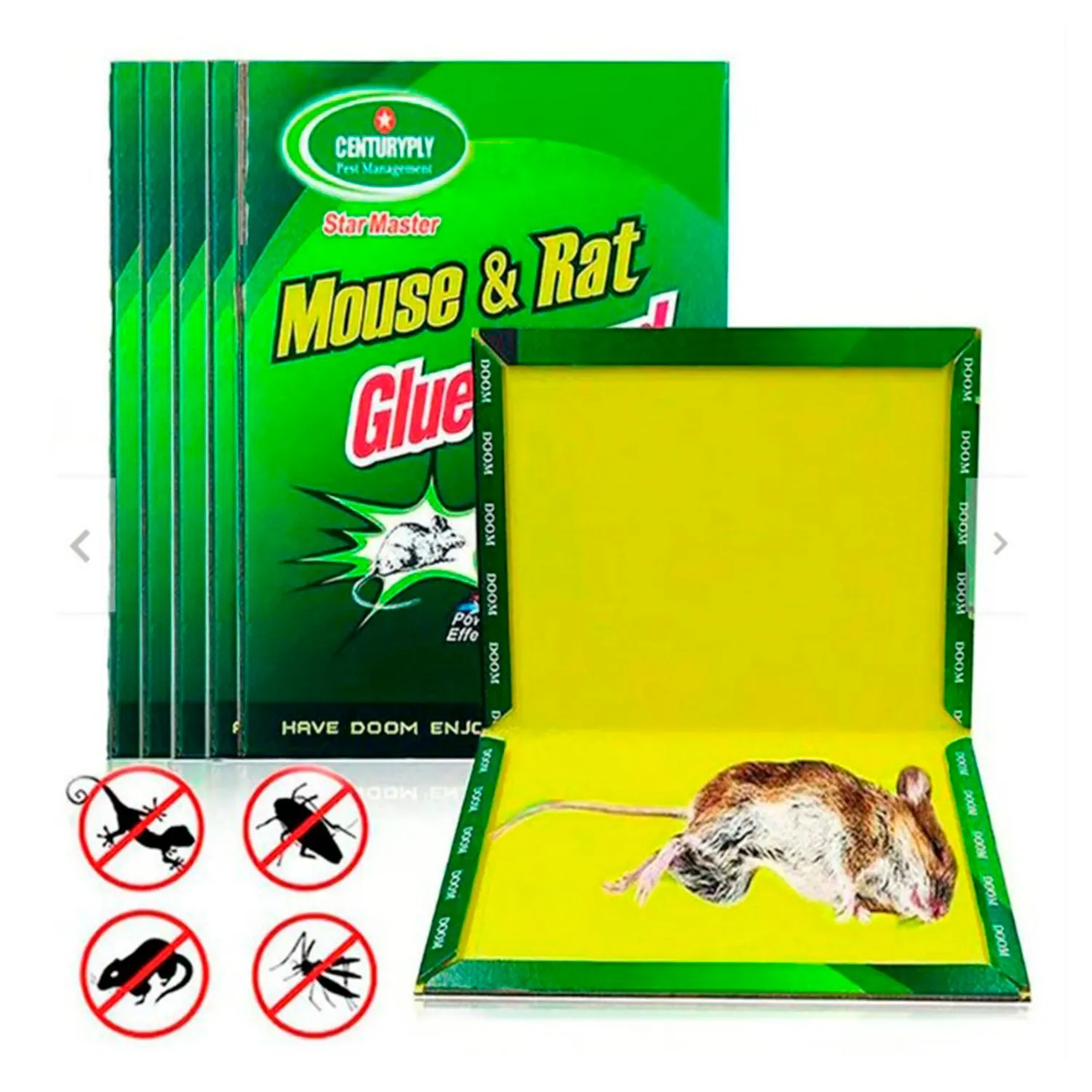 3 UNIDADES DE TRAMPA PARA ROEDORES. (NO TÓXICA) 100% SEGURA - Imagen 1