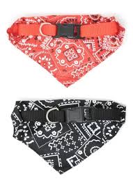 COLLAR MASCOTA PAÑOLETA ESTAMPADA - GRANDE - ZJ231751 - Imagen 1