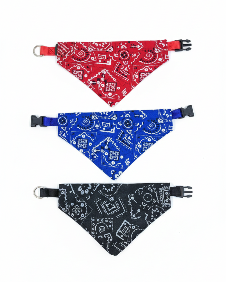 PAÑUELO CON COLLAR PARA PERROS PEQUEÑOS  - ZJ231750 - Imagen 2
