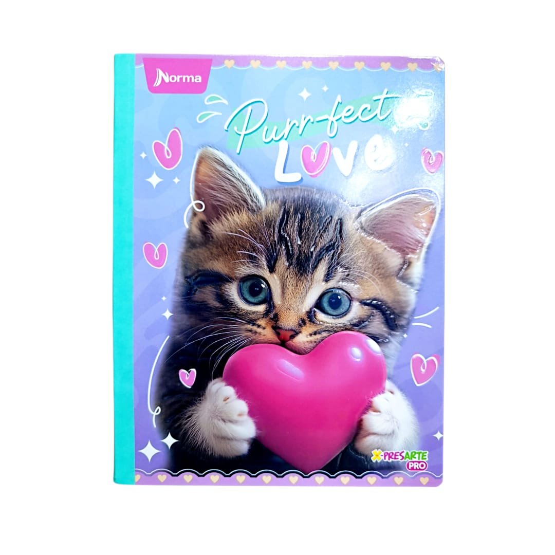 CUADERNO FELINE NIÑA CUADRICULADO TAMAÑO REGULAR - NORMA 100 HOJAS - Imagen 3