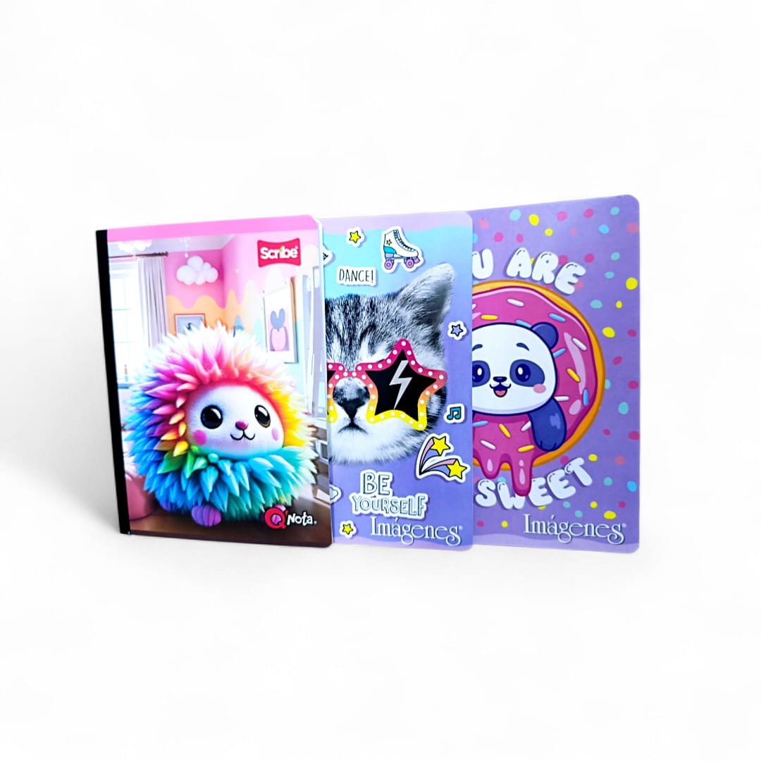 CUADERNO NIÑA RAYADO TAMAÑO REGULAR - VARIAS MARCAS 100 HOJAS - Imagen 4